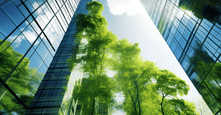 Comparing Corporate Sustainability Approaches Site by Site vs-Portfolio -1-1-1